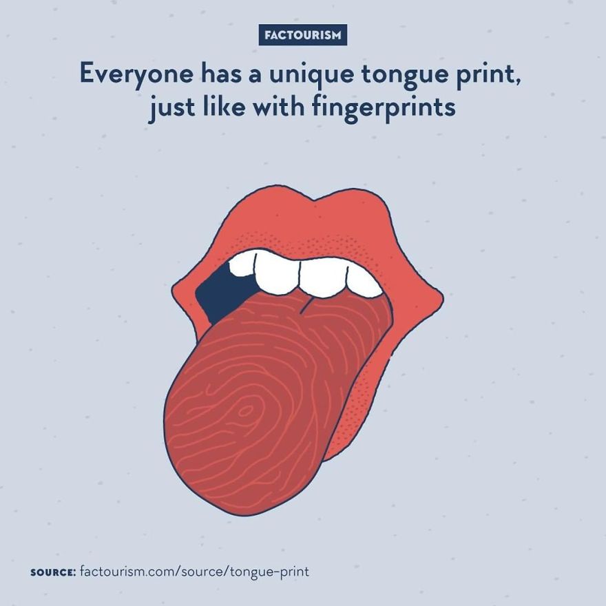 We Love Strange Facts And Decided To Draw Our Favourites. Here Are 30 Of Them.
