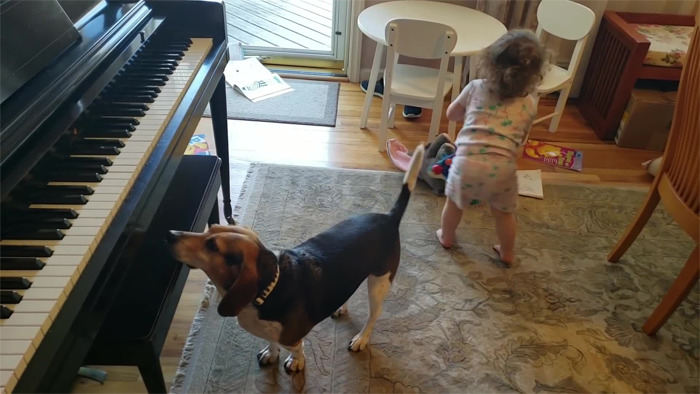 Este hombre grabó sin querer a su hija bailando mientras su perro tocaba el piano