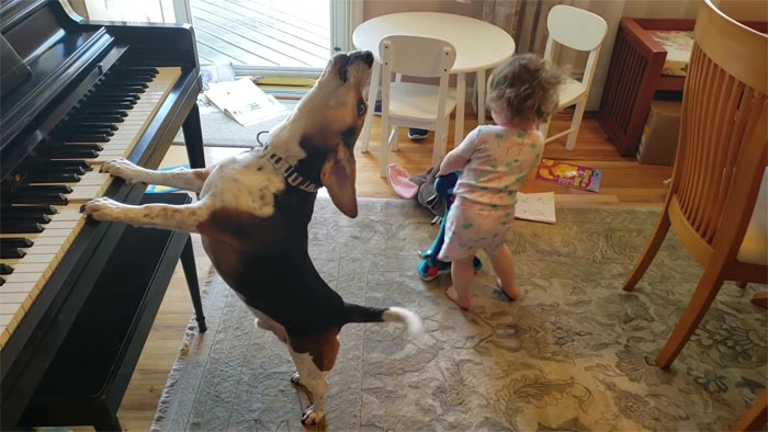Man Accidentally Captures A Video Of His Baby Daughter Dancing To Their Dog Playing The Piano