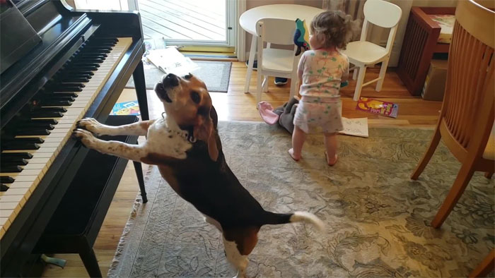 Este hombre grabó sin querer a su hija bailando mientras su perro tocaba el piano