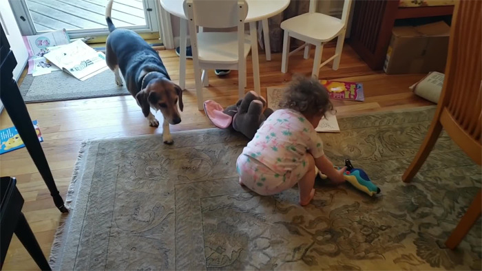 Man Accidentally Captures A Video Of His Baby Daughter Dancing To Their Dog Playing The Piano