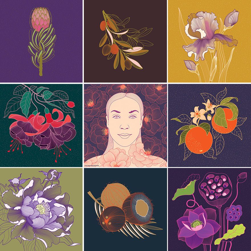 Illustrations From Adept Lines & Botanical Addict
