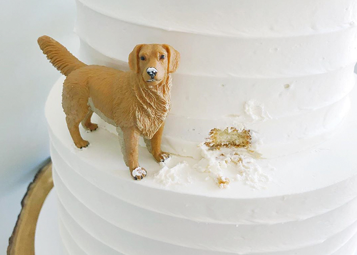 30 Aesthetically Pleasing Cakes By This Canadian Baker