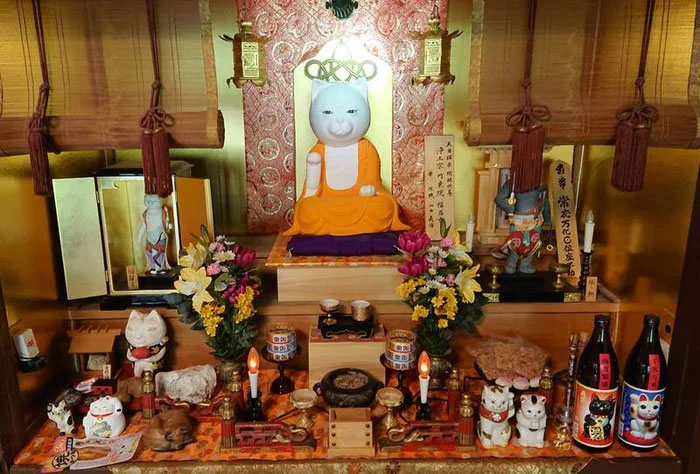 There Is A Cat Temple In Japan And Its Monks Are The Cutest