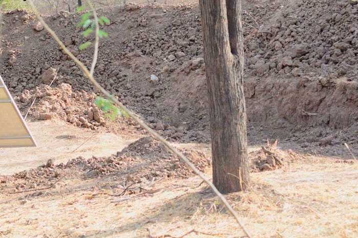 People Realize That Leopards Have Badass Camouflage By Trying To Find One In This Photo