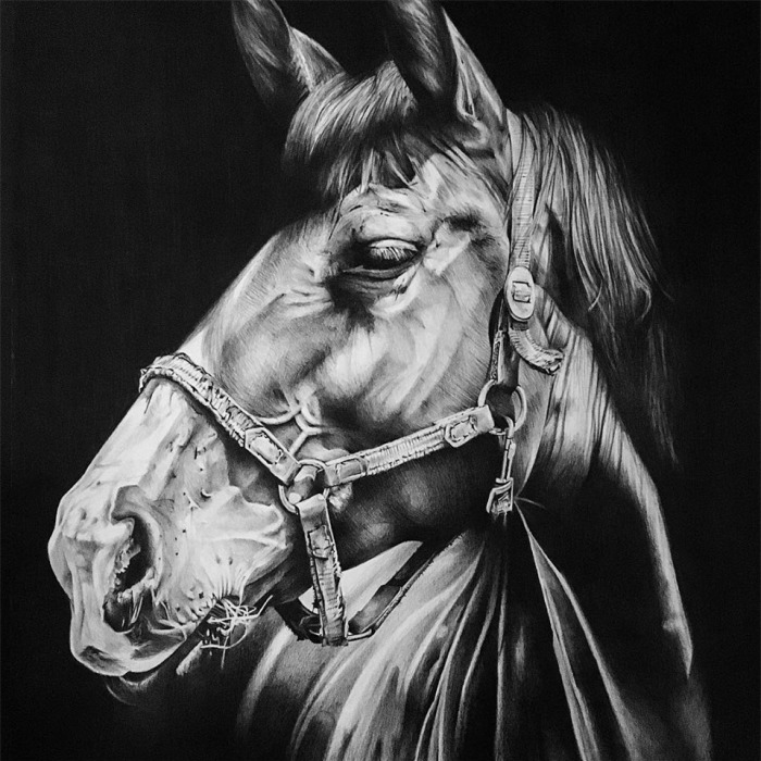 It Took Me 25 Hours To Draw This Horse Using Only Colored Pencils