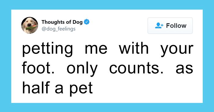 30 Of The Funniest Dog Thoughts That Dog Owners Understand Too Well (New Pics)