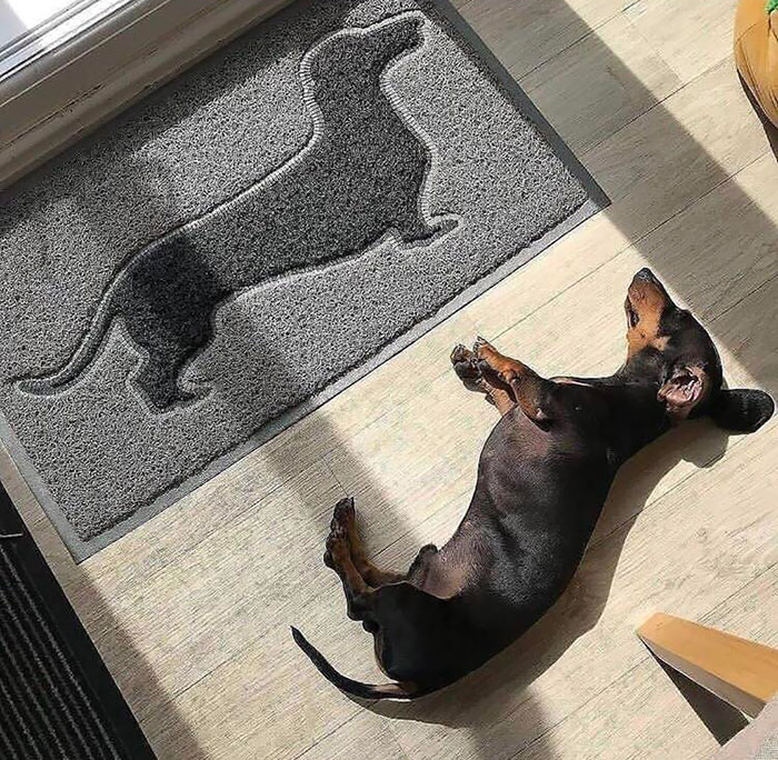 Sausage Dog Doormat