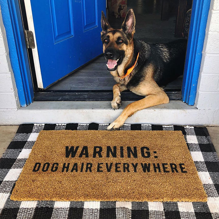 Get A German Shepherd They Said. It'll Be Fun They Said. Fun Fact: I Made This Doormat