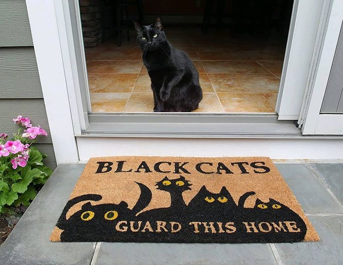 With Those Round Yellow Eyes Staring Out Of Your Doormat, Can All The Mischievous Spirits Of Halloween Even Dare To Eye Your Threshold?