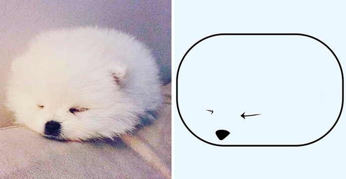 This Twitter Account Posts ‘Poorly Drawn Animals’ And Here Are 37 Of The Funniest Ones
