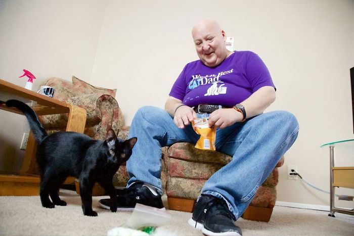 Blake, The Cat That Helps Its Owner Deal With Brain-Induced Seizures