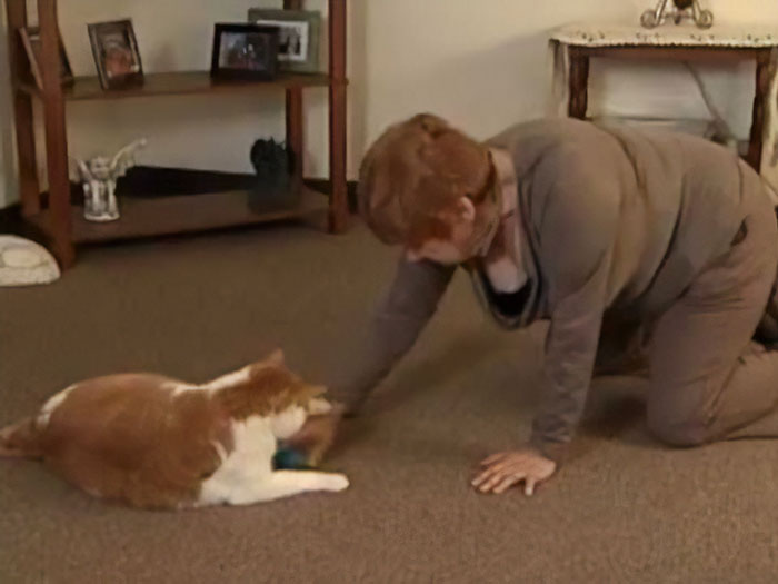 Rusty, The Cat Who Sensed His Owner's Heart Attack