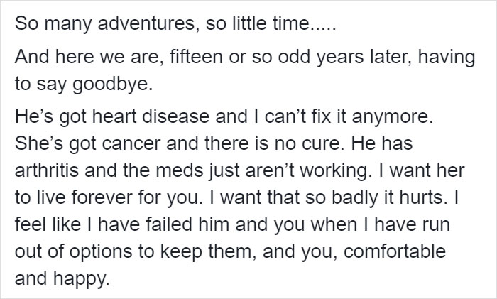 Heartbreaking Post On Euthanasia From A Vet That Has To Perform It Goes Viral