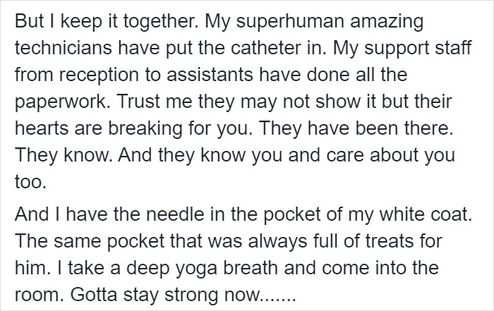 Heartbreaking Post On Euthanasia From A Vet That Has To Perform It Goes Viral