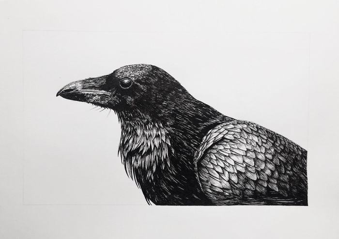 These Amazing 18 Drawings Will Send You Flying