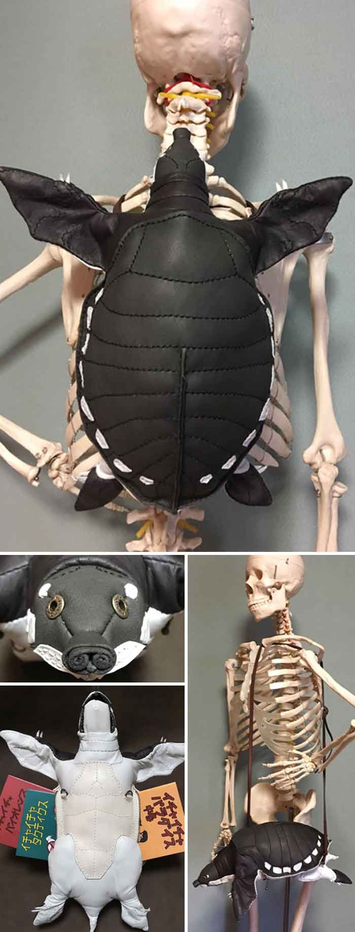 Insects-Bugs-Inspired-Bags-Accessories-Amaheso