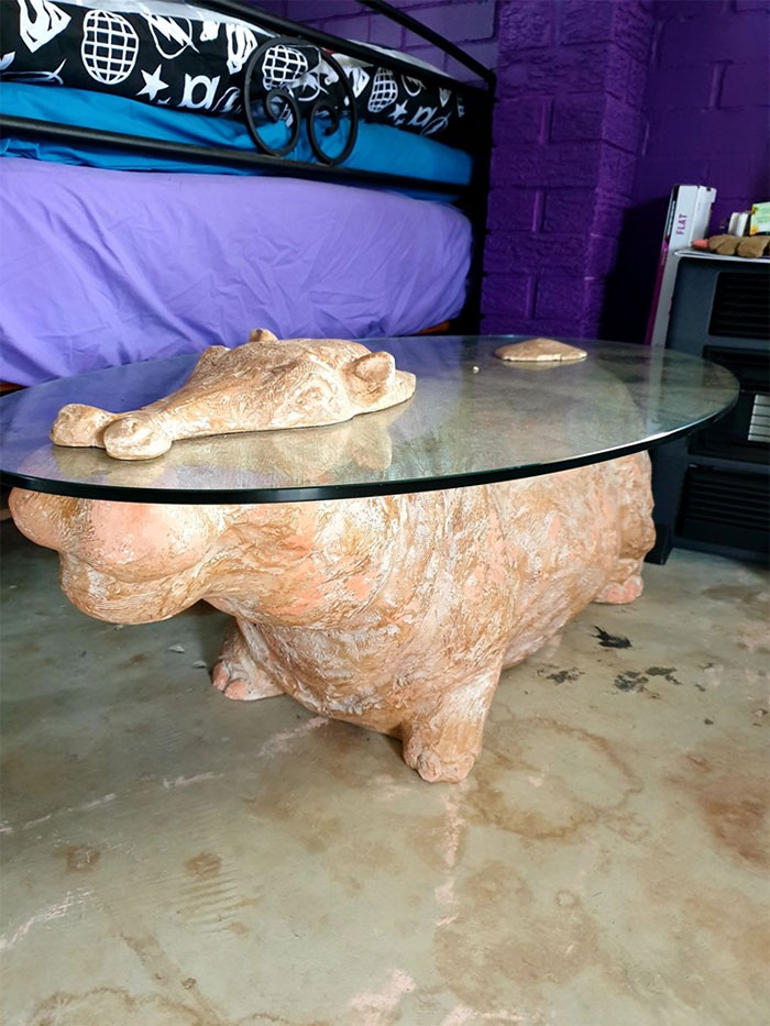 Does This Qualify As A House Hippo?