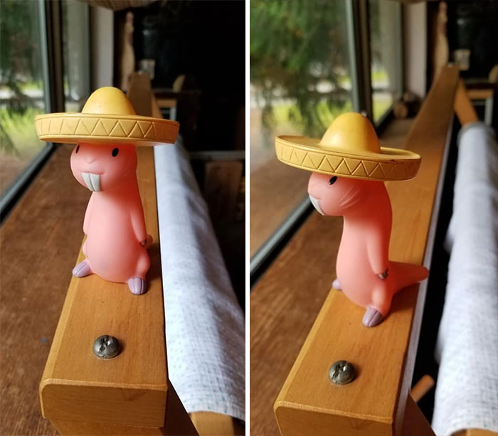 I Found A Naked Mole Rat In A Free Pile At A Garage Sale. And He's Wearing A Sombrero! He Squeaks When You Push Down On His Hat