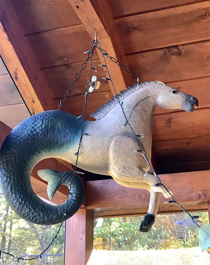 Found This Seahorse, A Mythical Hippocampus In An Antique Shop In NY State. They Pulled Poseidon’s Chariot, According To Greek Mythology. Wasn’t Sure, But Then Had To Go Back And Buy It!