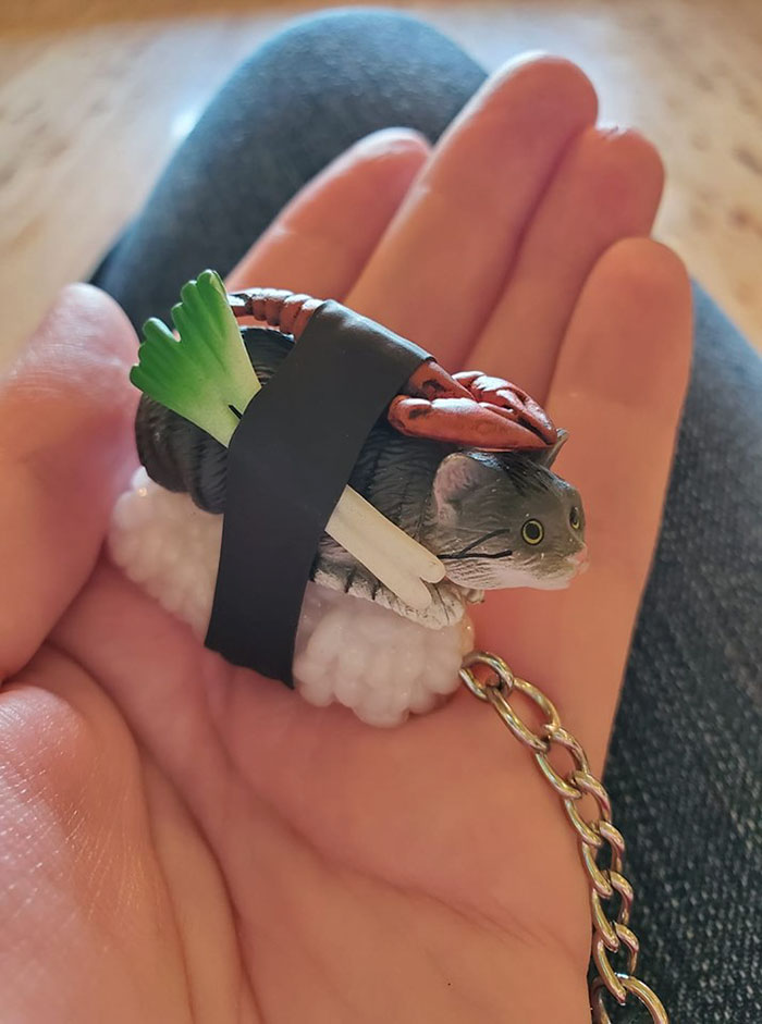 My Sushi Cat Keychain. Found It At An Estate Sale For $1.00. We Actually Got 3 Different Ones, This Is Just The One I'm Using. My Mom Says Its Creepy