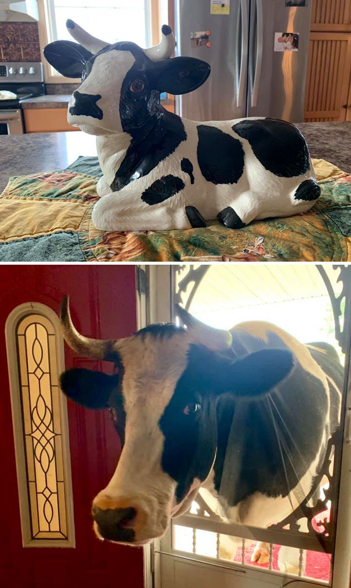 A Friend Found This At An Antique Mall. It Was A Perfect Match To My Pet Porch Cow, Bucky! She Gifted It To Me And I Love It!