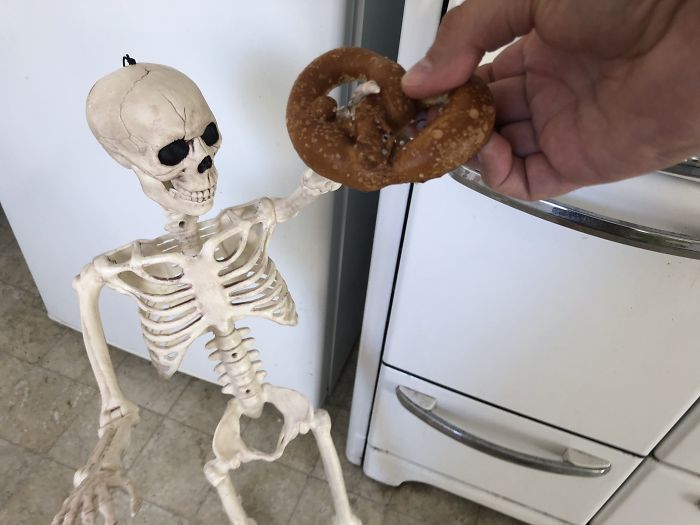 'He Was So Terrified When We Brought Him Home 2 Days Ago:' Man 'Rescues' An Abandoned Skeleton Decoration