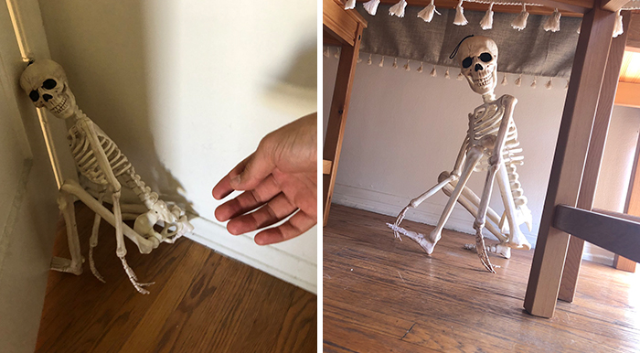 ‘He Was So Terrified When We Brought Him Home 2 Days Ago:’ Man ‘Rescues’ An Abandoned Skeleton Decoration