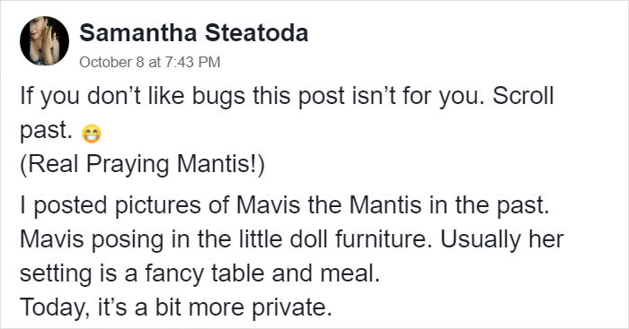 This Sophisticated Pet Mantis Has An Instagram Account And Her Followers Love Watching Her Testing Out Miniature Furniture