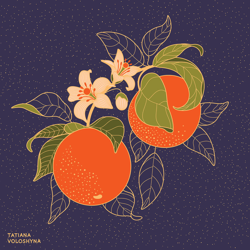 Illustrations From Adept Lines & Botanical Addict