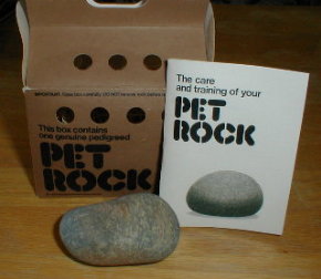pet-rock-5da5d99ae2e12.jpg