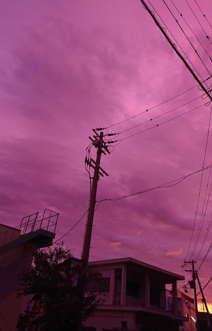 People In Japan Were Admiring The Incredibly Purple Sky, But It’s A ...