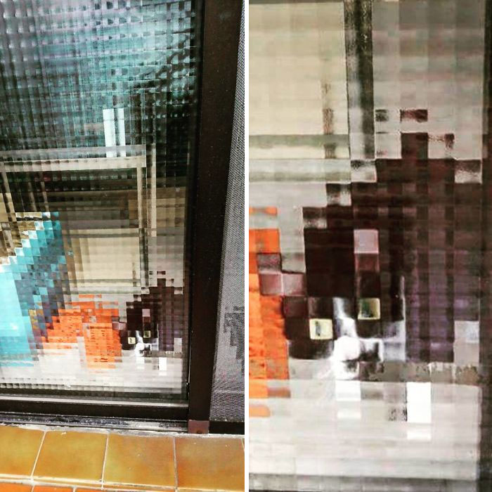 11 Times People Spotted Pixel Cats In Real Life And Just Had To Share