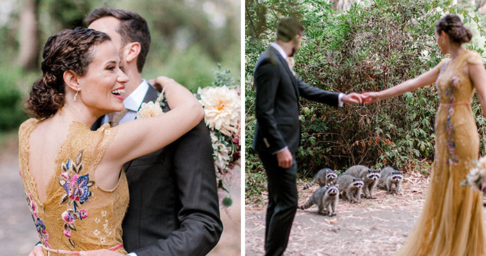 This Gang Of Racoons Crashes A Wedding Photoshoot And It’s Both Cute And Hilarious