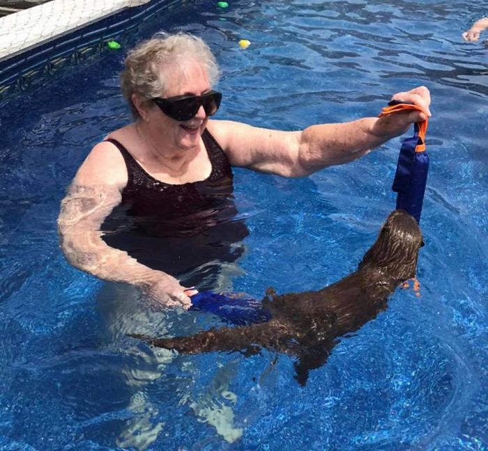 Adults Can Swim With Tiny Otters At This Animal Preserve, And The Photos Are Adorable