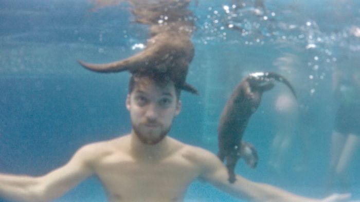 Adults Can Swim With Tiny Otters At This Animal Preserve, And The Photos Are Adorable
