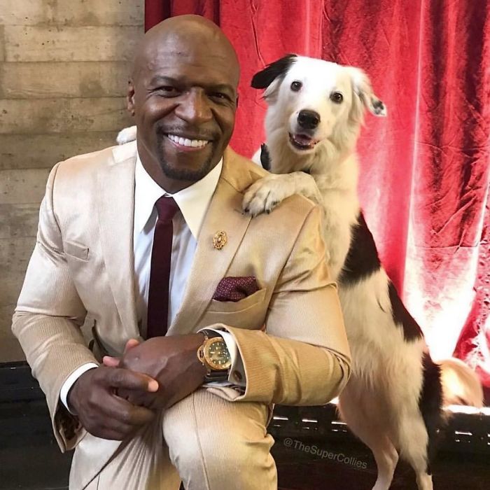 Entitled Fan Complains About Terry Crews Denying A Pic, He Responds And Tells The Real Story