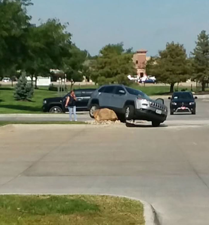 Someone Put Down A Huge Stone To Stop Curb Jumpers And Capture The Fools That Ignore It