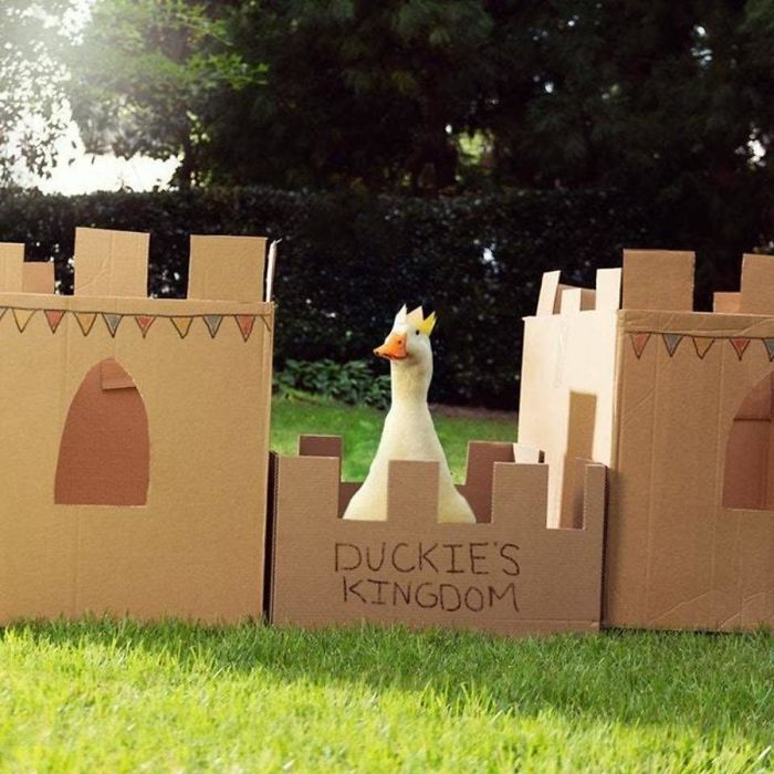 Duck with crown in castle 