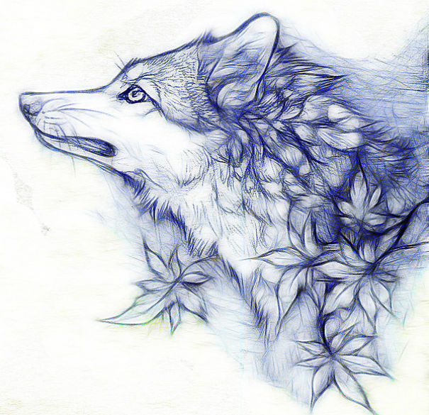 Wolf Drawings, Speant Like 16 Hours On Them All Together