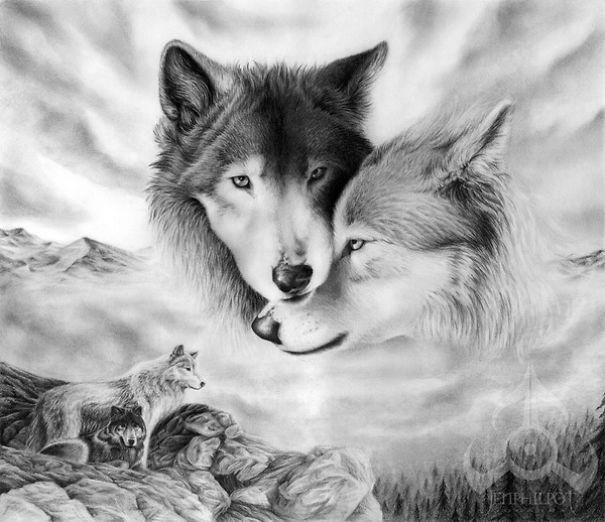 Wolf Drawings, Speant Like 16 Hours On Them All Together