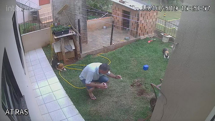 Man Accidentally Blows Up His Entire Backyard While Trying To Get Rid Of Cockroaches