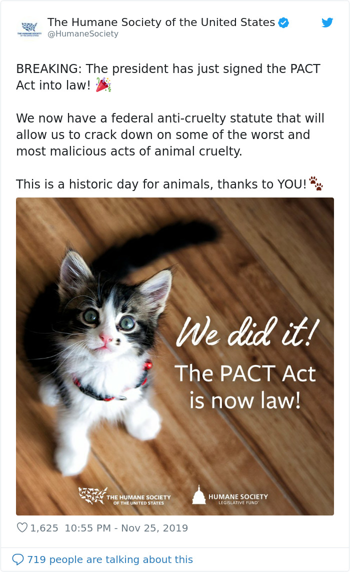 Animal Cruelty Is Now Officially A Nationwide Felony In The USA