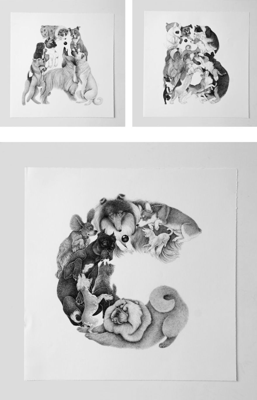 An Alphabet Of Dogs - My Illustrated Book