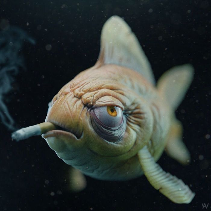 The Junkie Fish