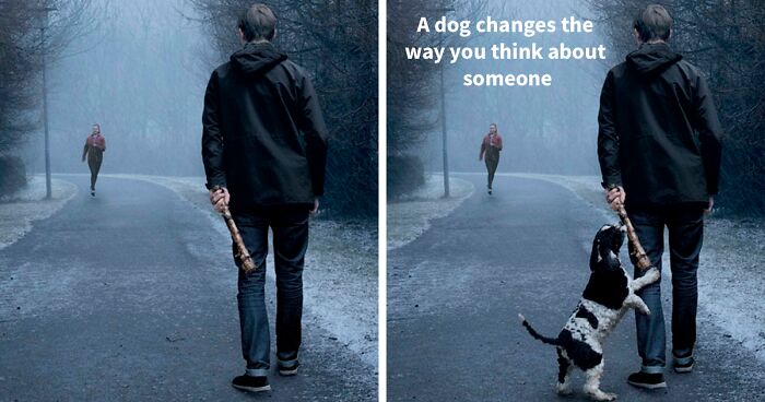 Ad Campaigns Tell How A Dog Can Transform A Person S Life 16 Pics