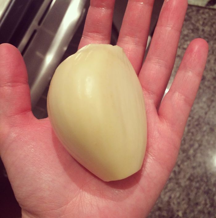 This Giant Clove Of Garlic