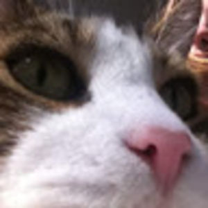 mariuscuteness avatar