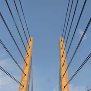 sk8boarding_seelow avatar