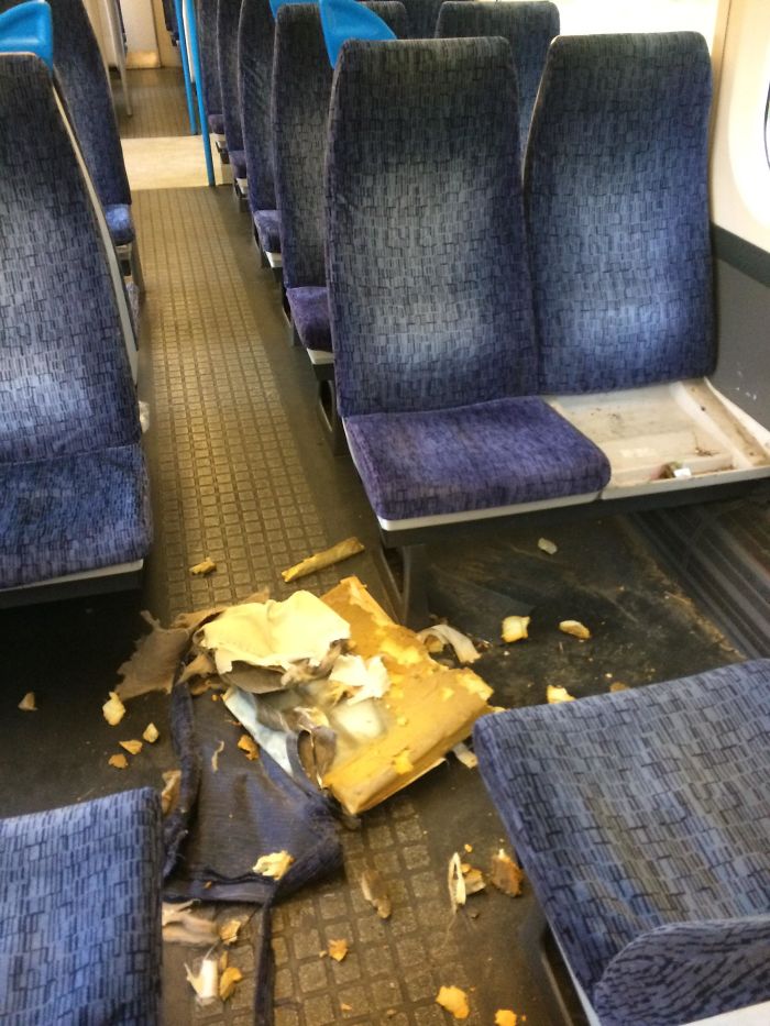 Chav Let His Dog Tear Apart The Seats On The Train